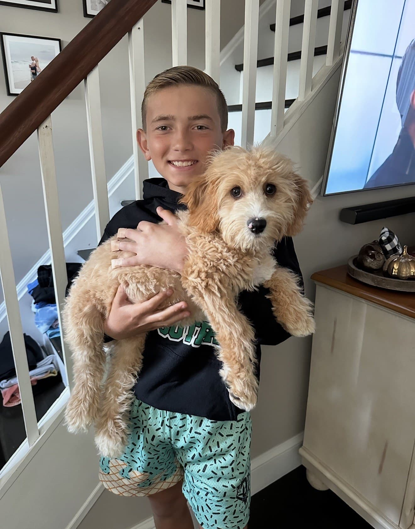 A boy holding his new apricot doodle puppy