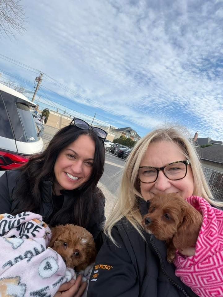 Two happy families on puppy delivery day