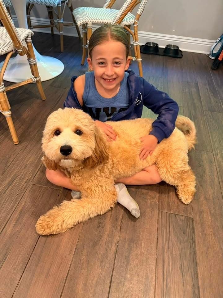A girl at home with her Goldendoodle